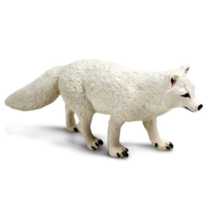 Safari Ltd Arctic Fox