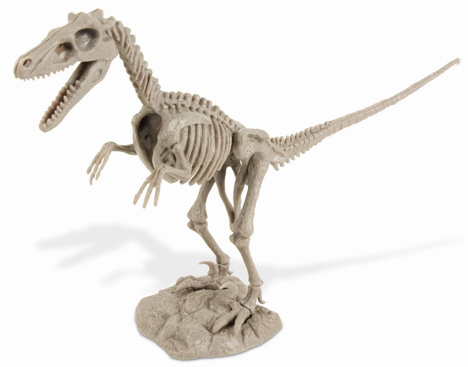 Dr S. Hunters Velociraptor Skeleton DinoExcavation Kit