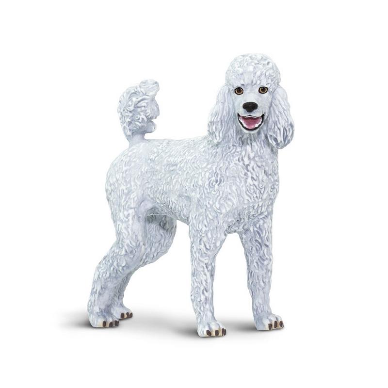 Safari Ltd Poodle