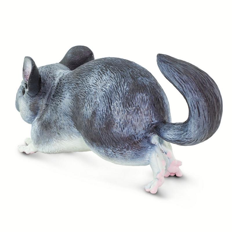 Safari Ltd Chinchilla