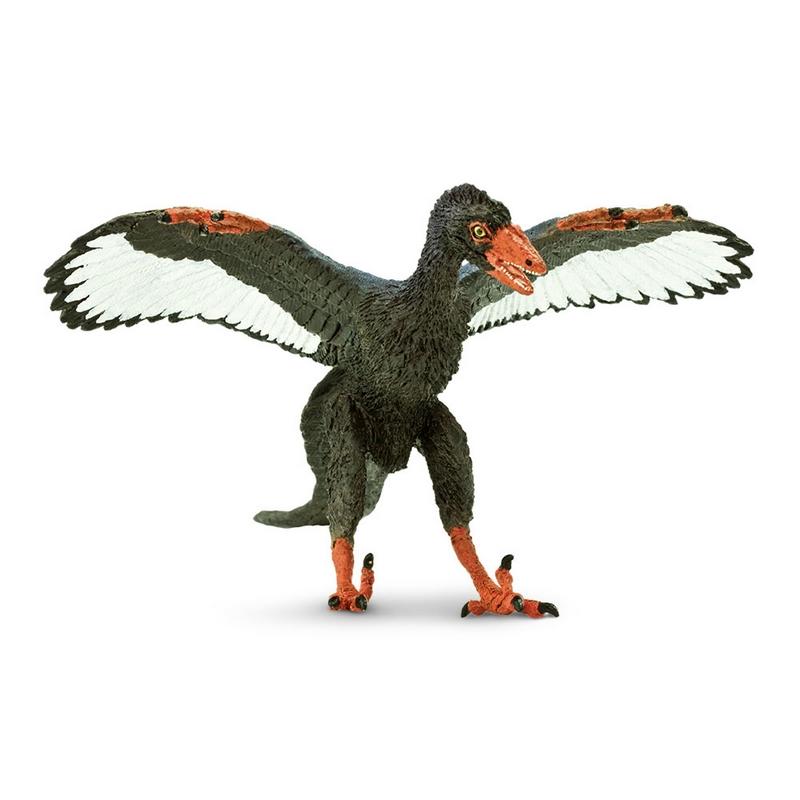 Safari Ltd Archaeopteryx