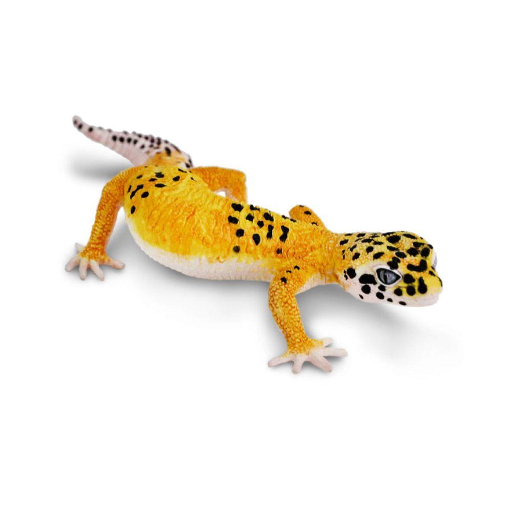 Safari Ltd Leopard Gecko