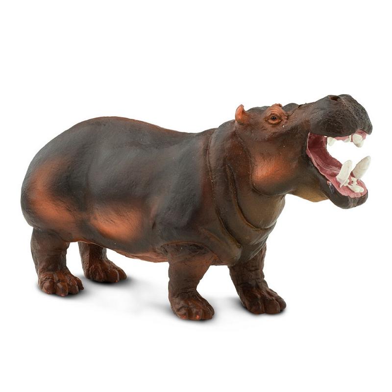 Safari Ltd Hippopotamus