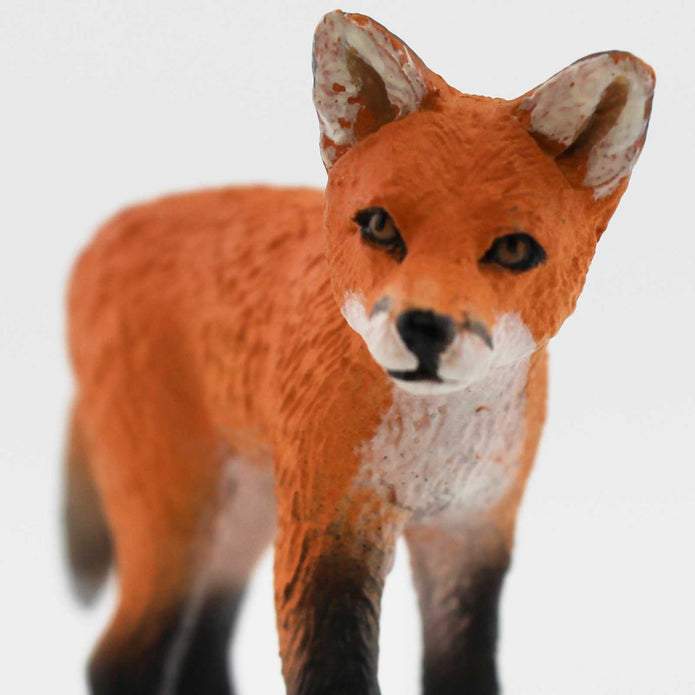 Safari Ltd Red Fox Kit