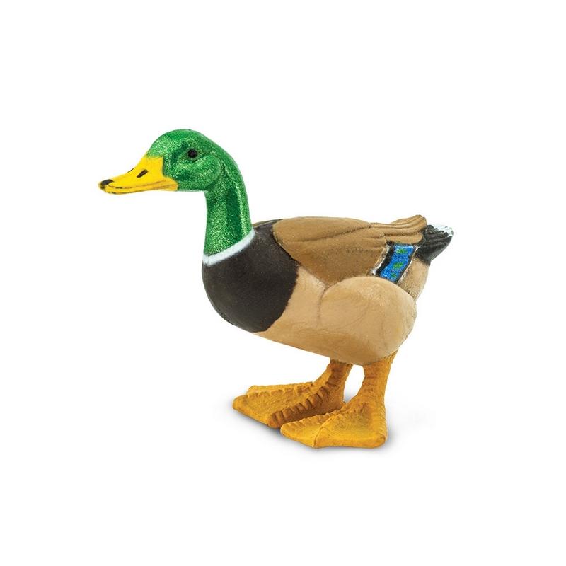 Safari Ltd Duck