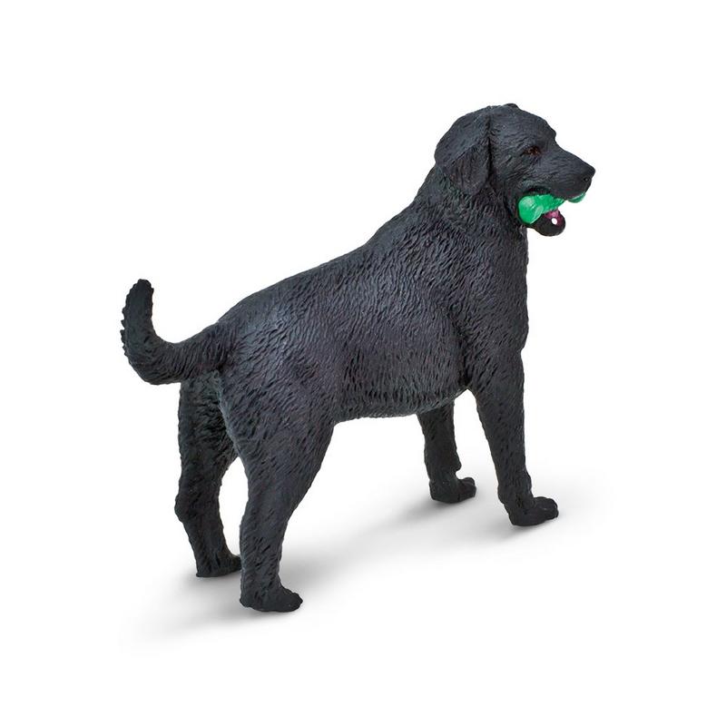 Safari Ltd Black Labrador