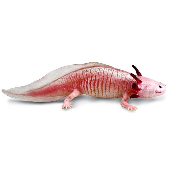 Safari Ltd Axolotl Toy Figure