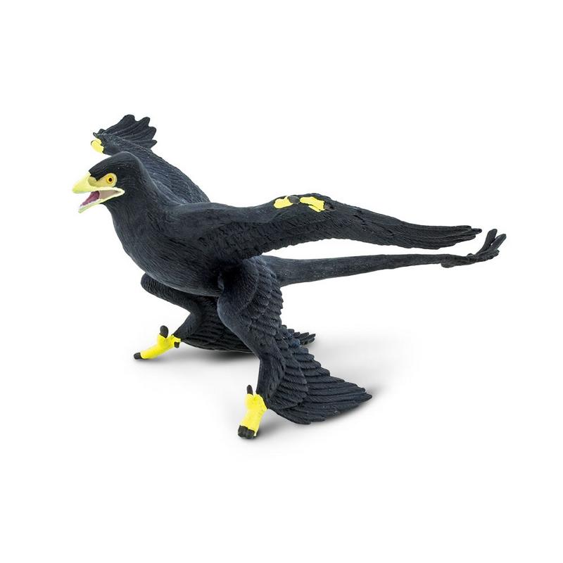 Safari Ltd Microraptor