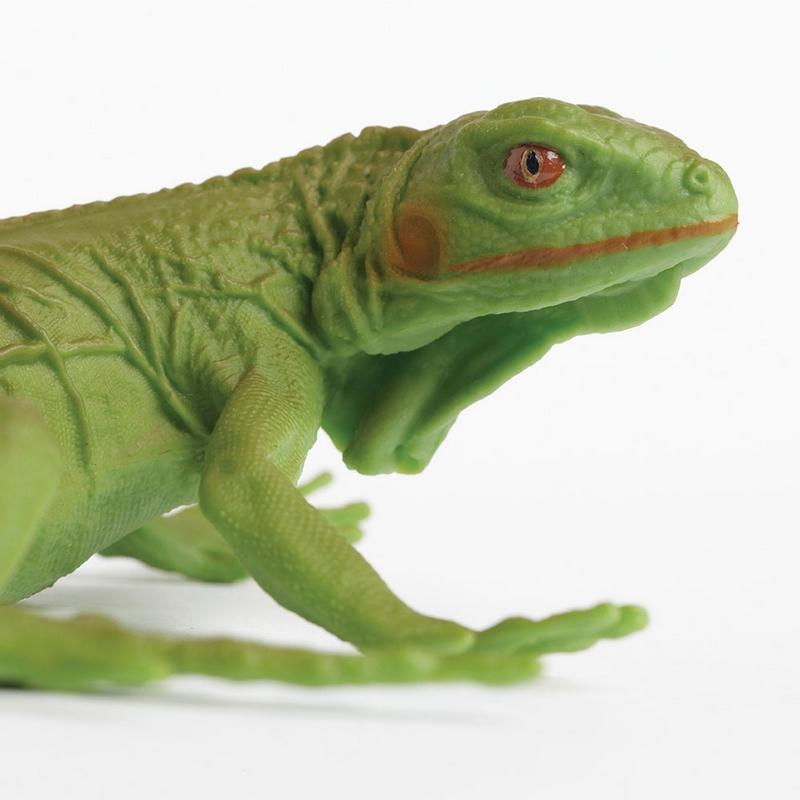 Safari Ltd Iguana Baby