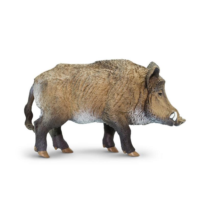 Safari Ltd Boar