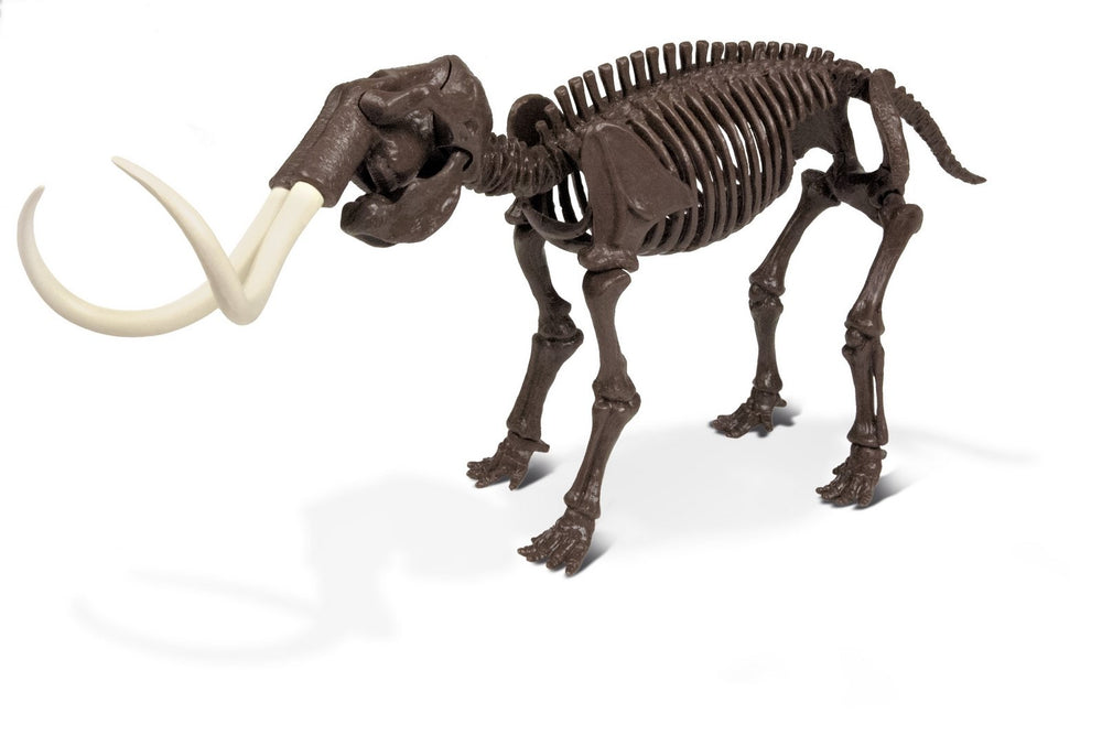 Dr S. Hunters Mammuthus Skeleton Ice AgeExcavation Kit