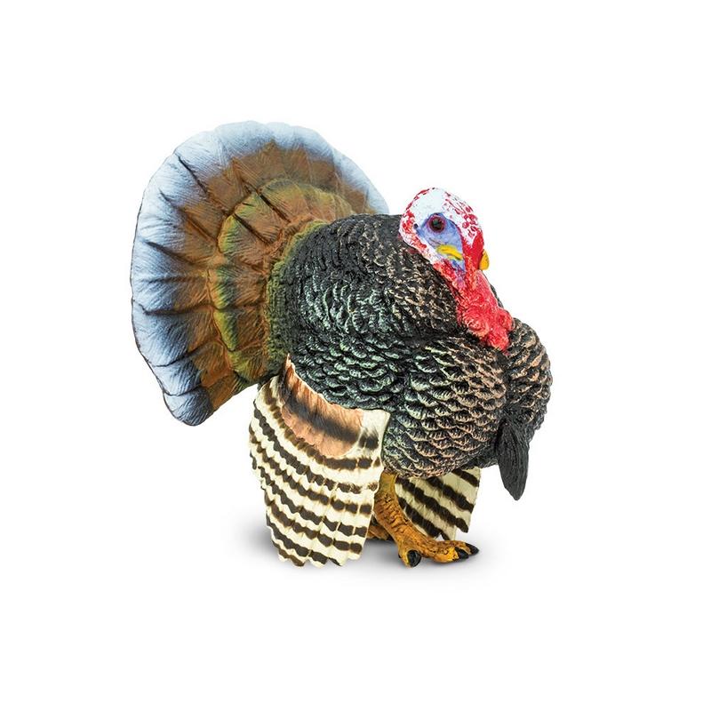 Safari Ltd Turkey