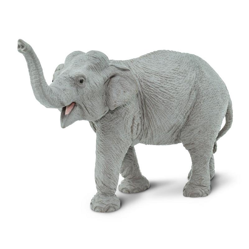 Safari Ltd Asian Elephant