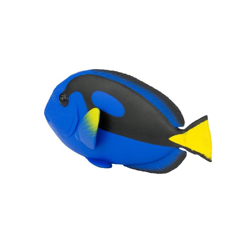 Safari Ltd Blue Tang