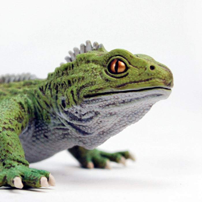 Safari Ltd Tuatara