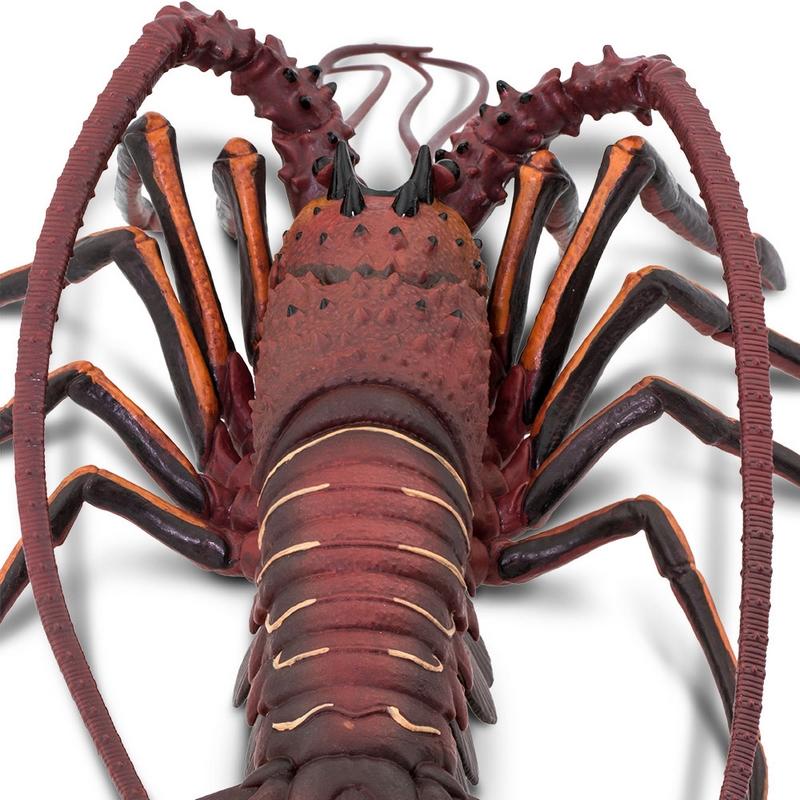 Safari Ltd Spiny Lobster