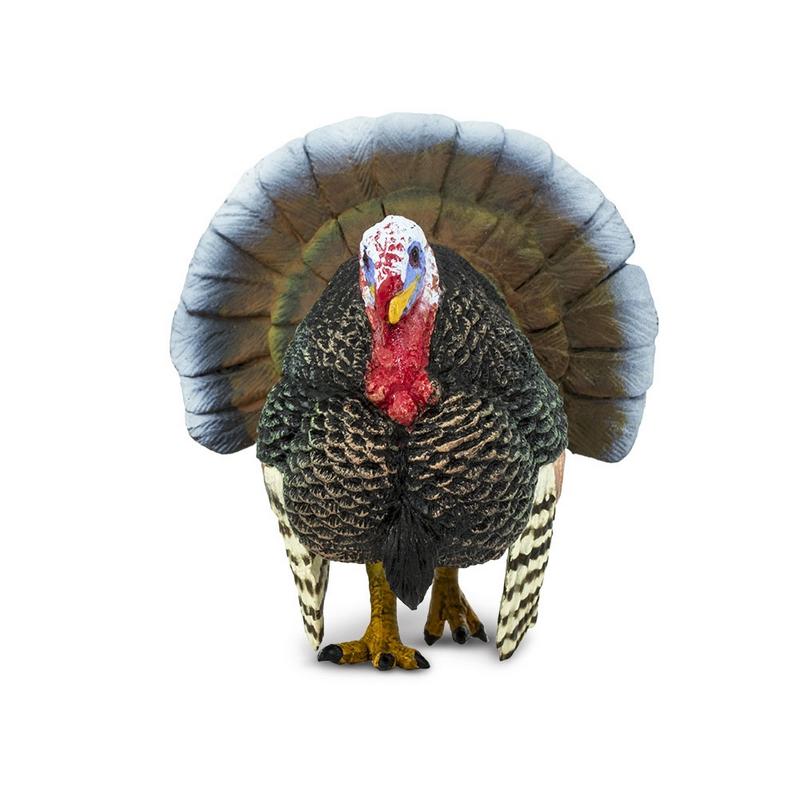 Safari Ltd Turkey