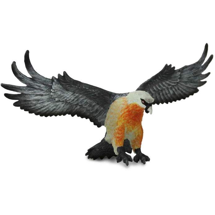 Safari Ltd Bearded Vulture