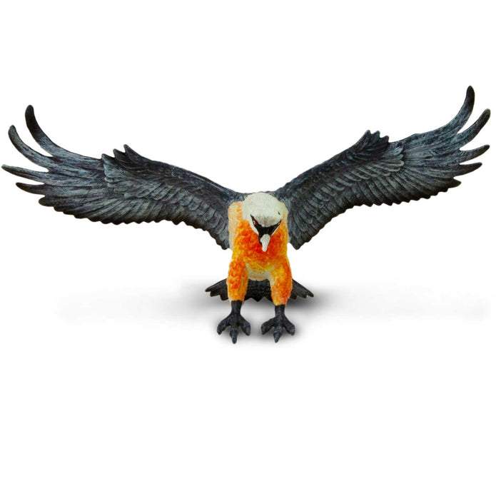 Safari Ltd Bearded Vulture