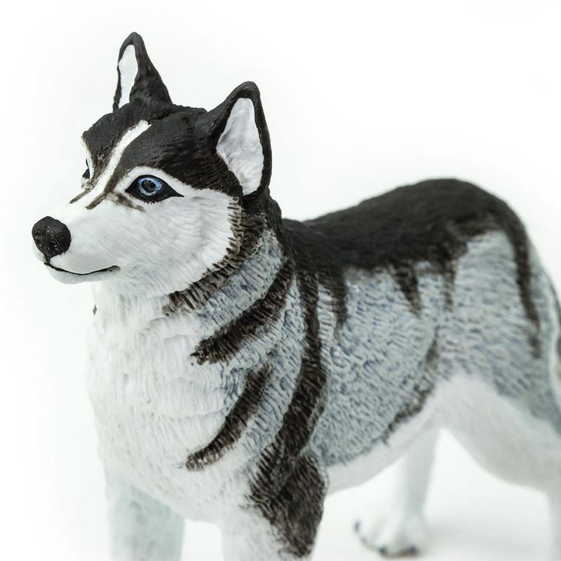 Safari Ltd Siberian Husky