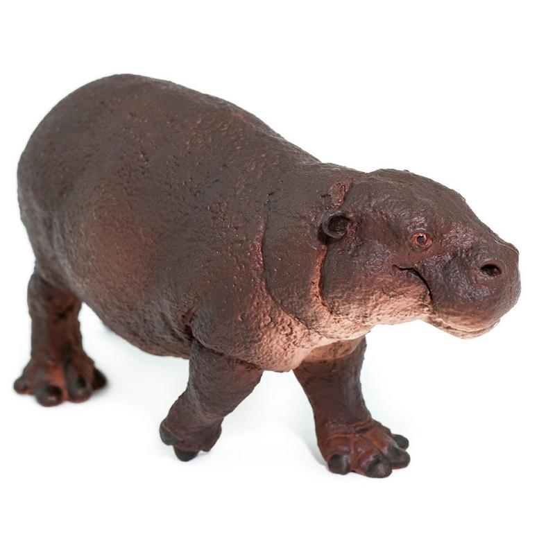 Safari Ltd Pygmy Hippo