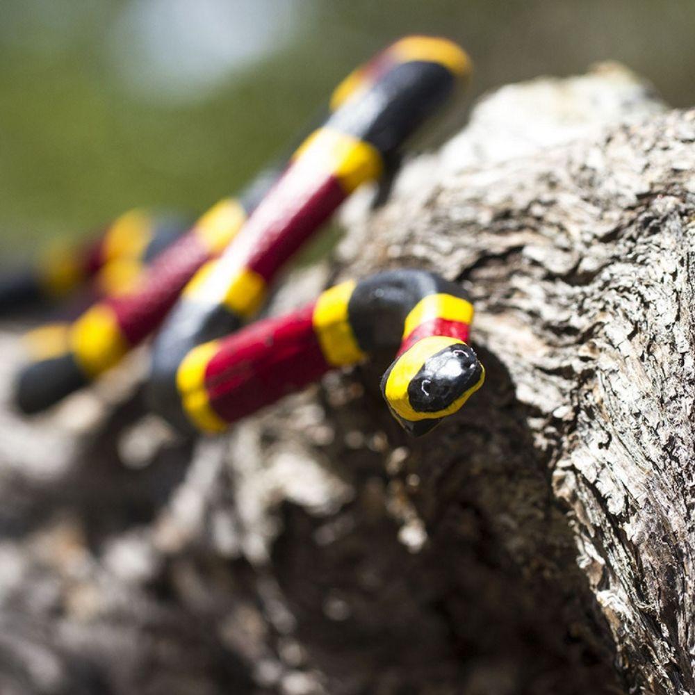 Safari Ltd Coral Snake