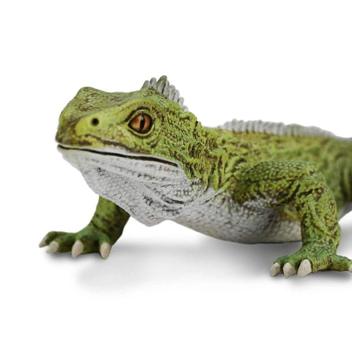 Safari Ltd Tuatara