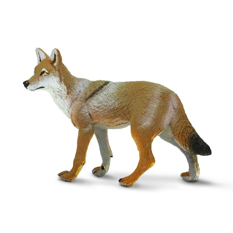 Safari Ltd Coyote North