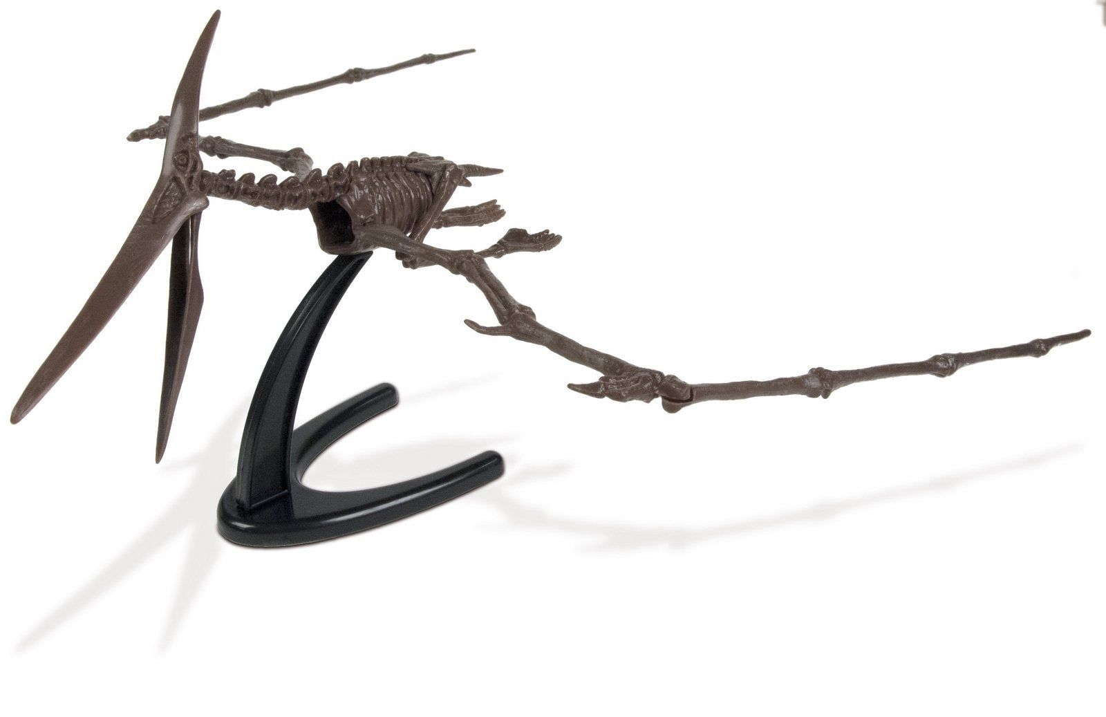 Dr S. Hunters Pteranodon Skeleton FlyingMonsters Excavation Kit