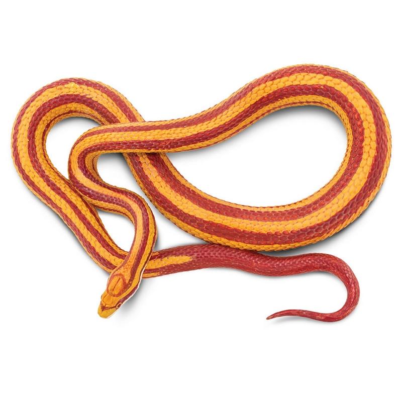 Safari Ltd Corn Snake