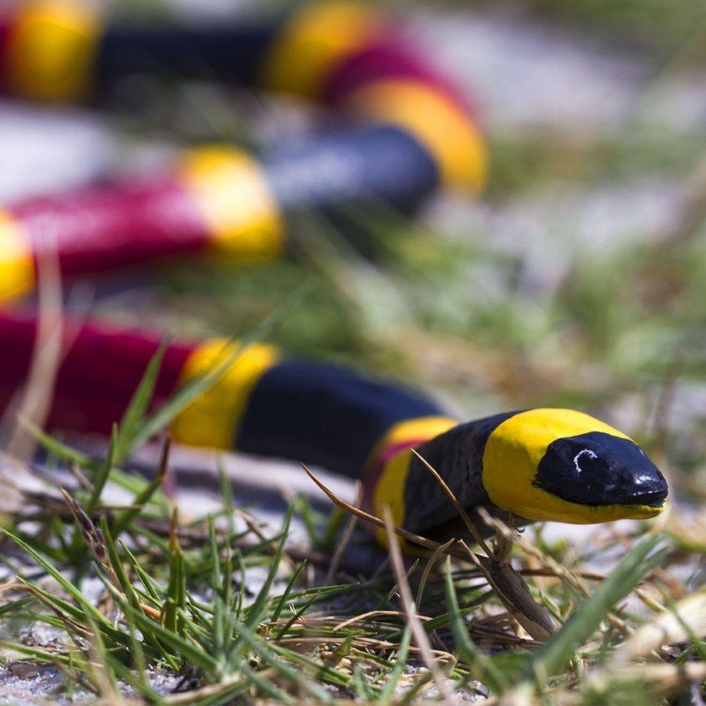 Safari Ltd Coral Snake