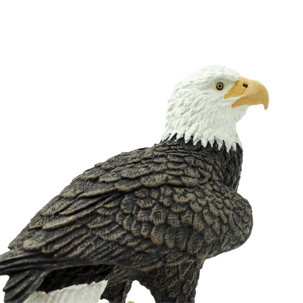 Safari Ltd Bald Eagle