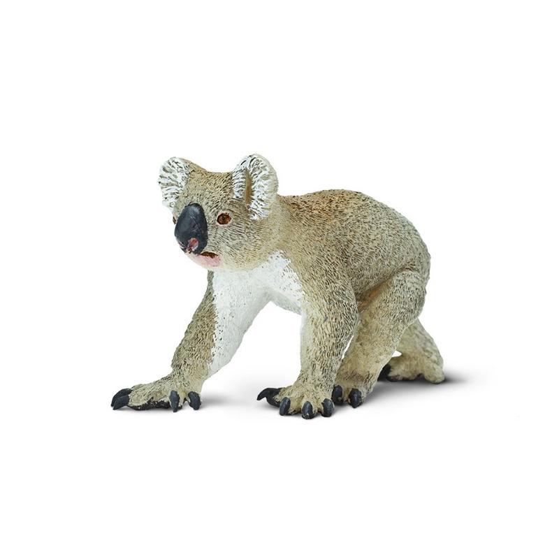 Safari Ltd Koala