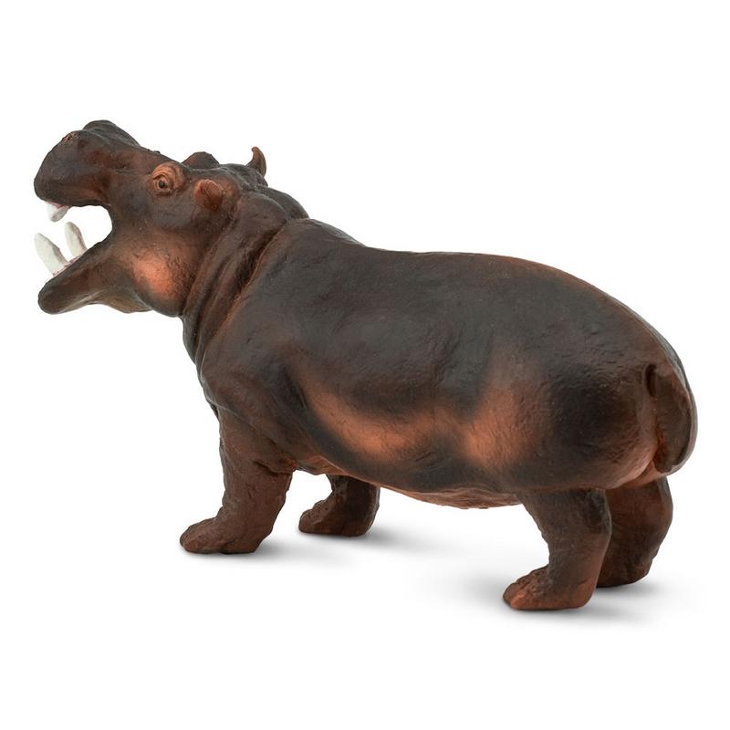 Safari Ltd Hippopotamus