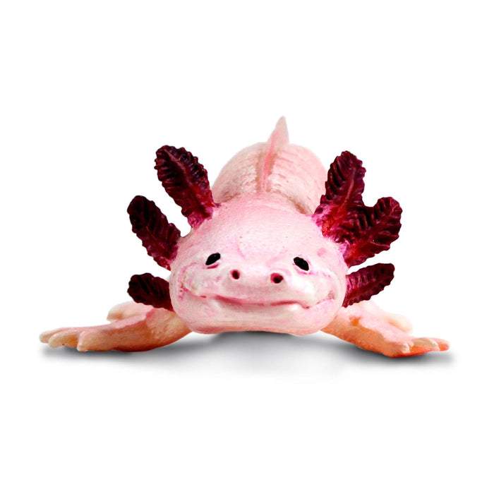 Safari Ltd Axolotl Toy Figure