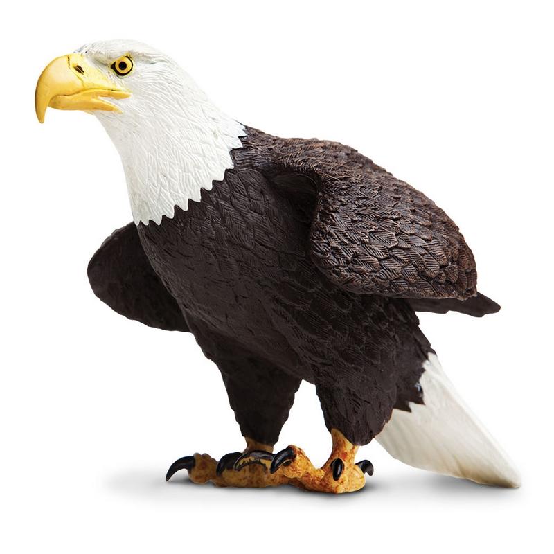 Safari Ltd Bald Eagle