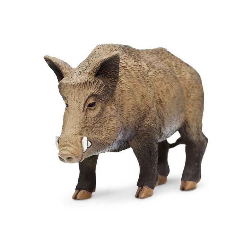 Safari Ltd Boar