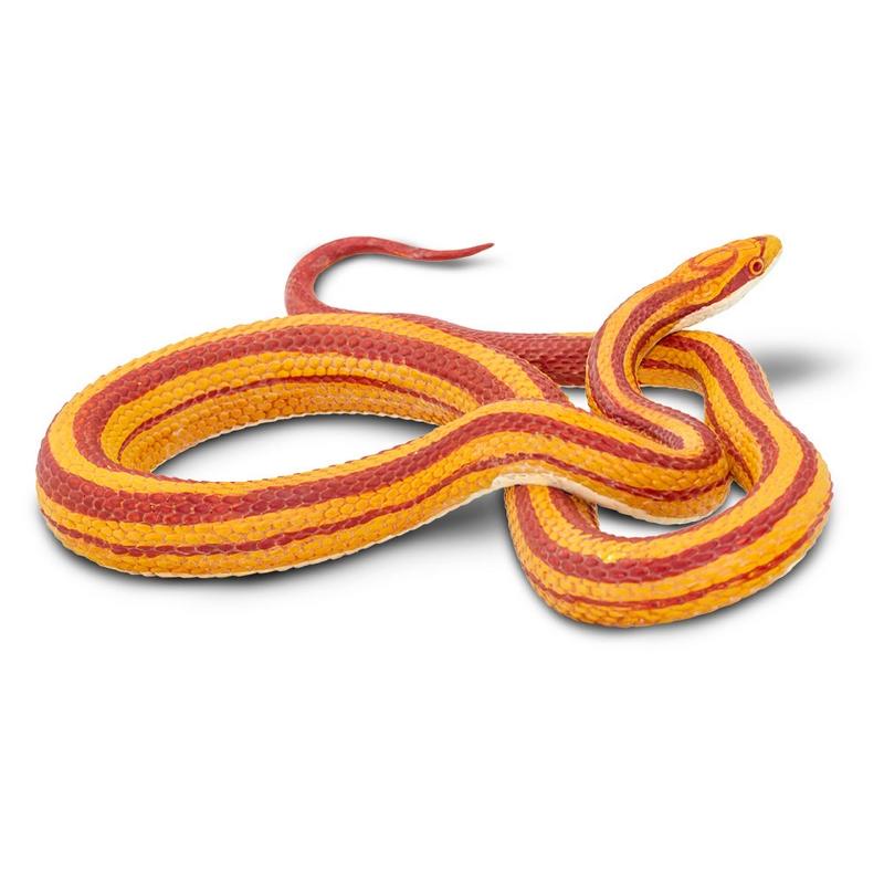 Safari Ltd Corn Snake