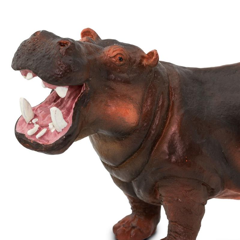 Safari Ltd Hippopotamus