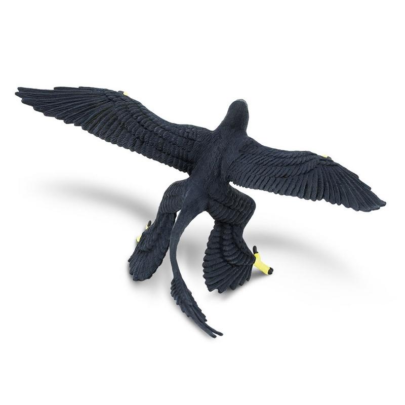 Safari Ltd Microraptor