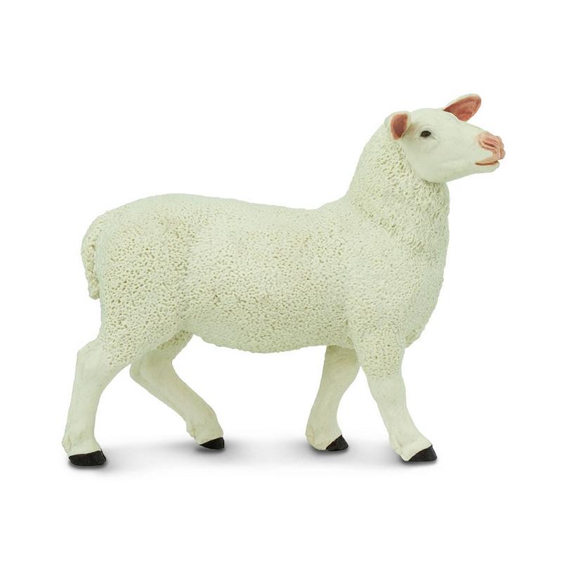 Safari Ltd Ewe