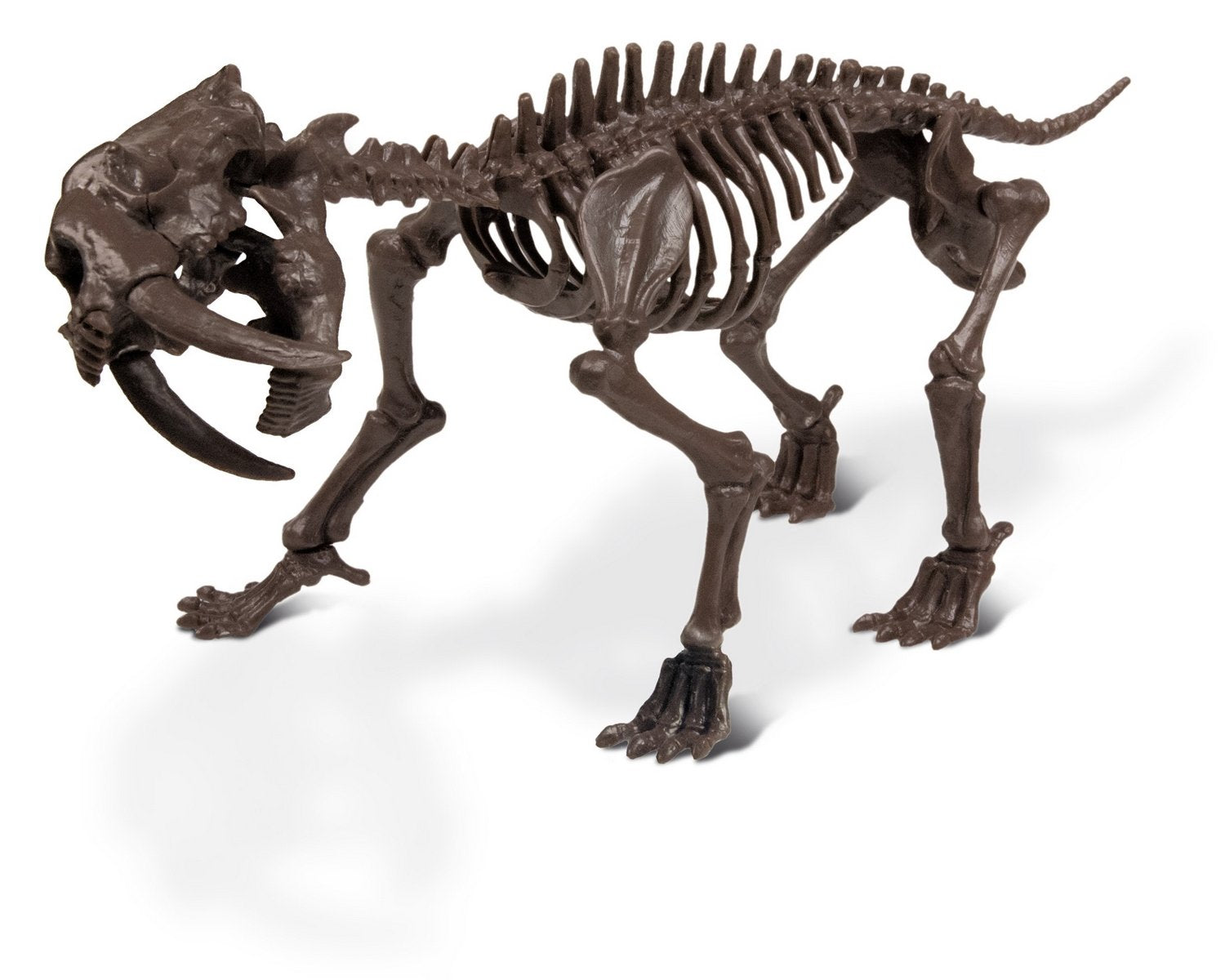 Dr S. Hunters Smilodon Skeleton Ice AgeExcavation Kit