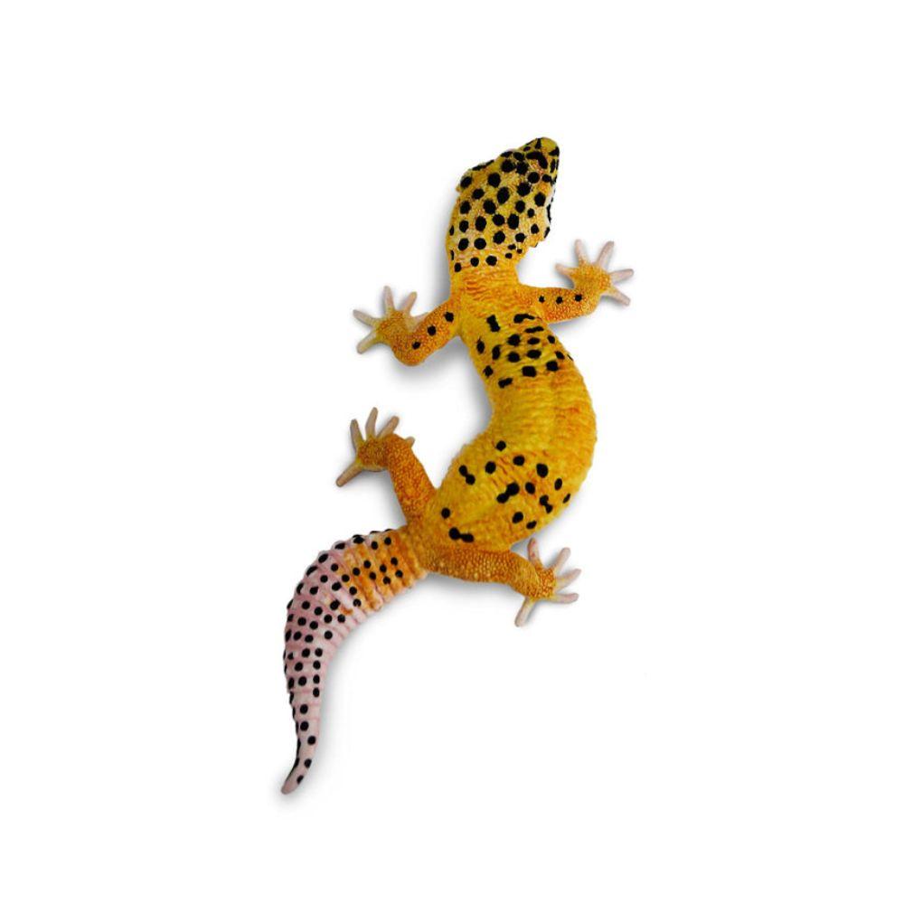 Safari Ltd Leopard Gecko