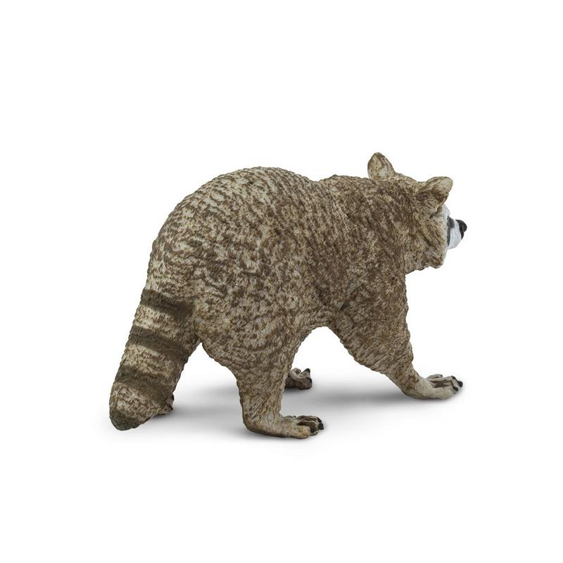 Safari Ltd Raccoon