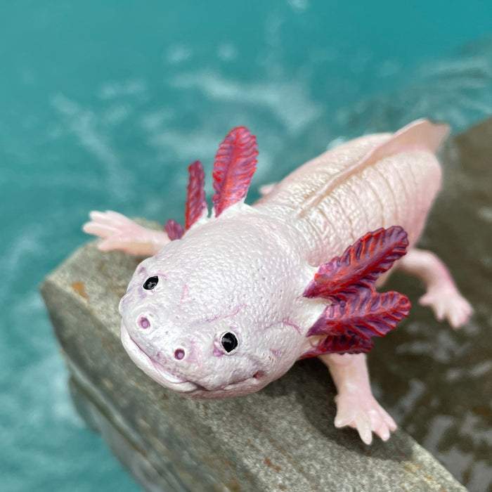 Safari Ltd Axolotl Toy Figure