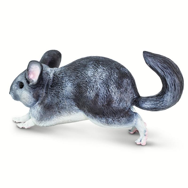 Safari Ltd Chinchilla