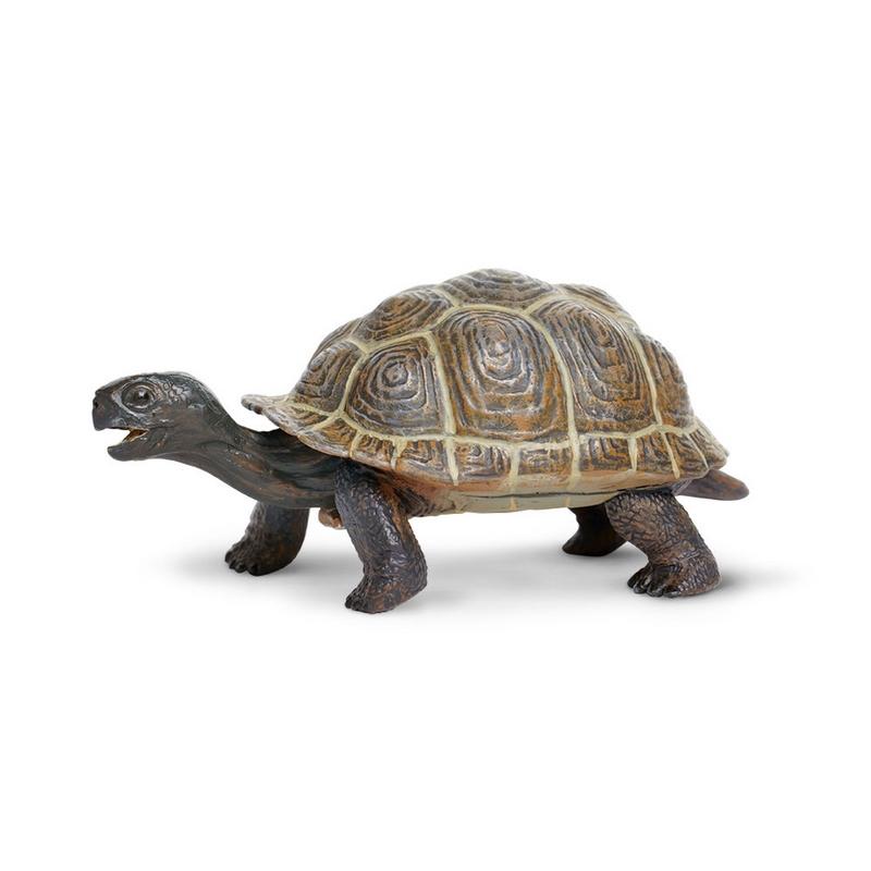 Safari Ltd Tortoise Baby