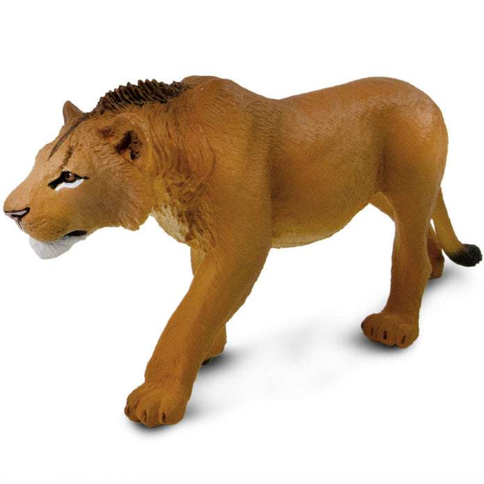 Safari Ltd Adolescent Male Lion