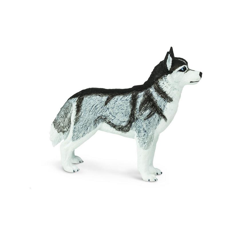 Safari Ltd Siberian Husky