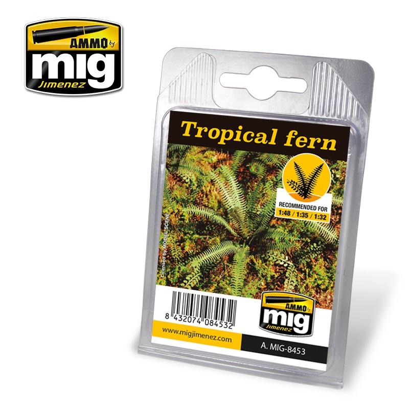 Ammo Tropical Fern Plant